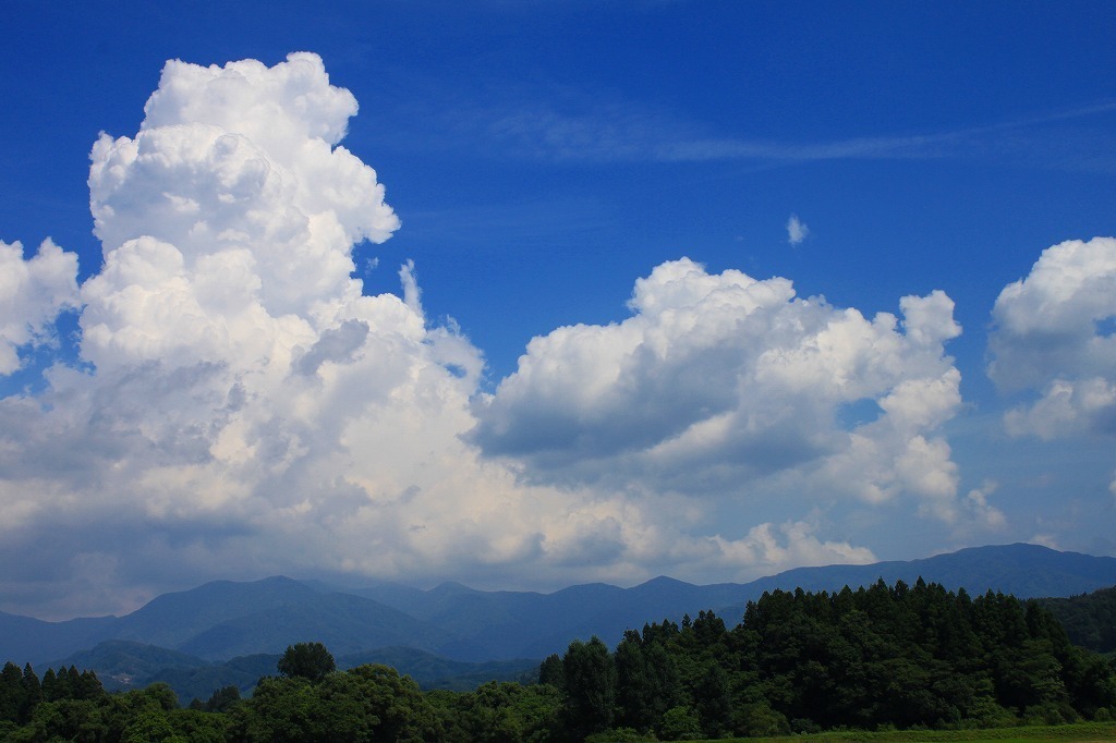 19年春朝ドラ 夏空 アットホームネット